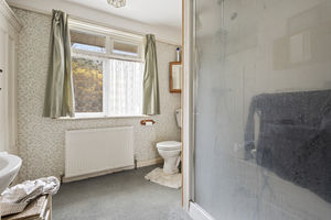 Photo 17- click for photo gallery